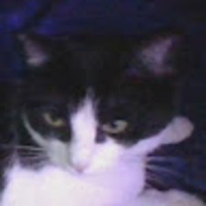 Meet your Posher, Scott